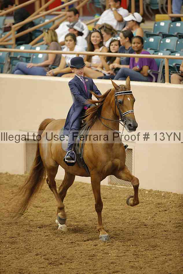 Proof 13yn_07907