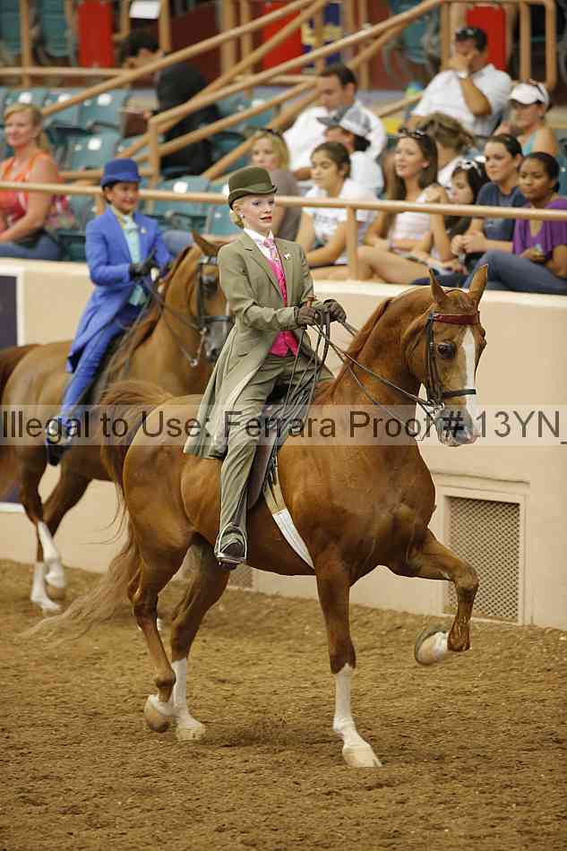 Proof 13yn_07908