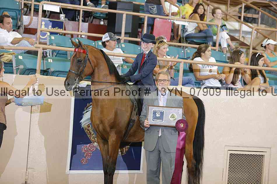 Proof 13yn_07909