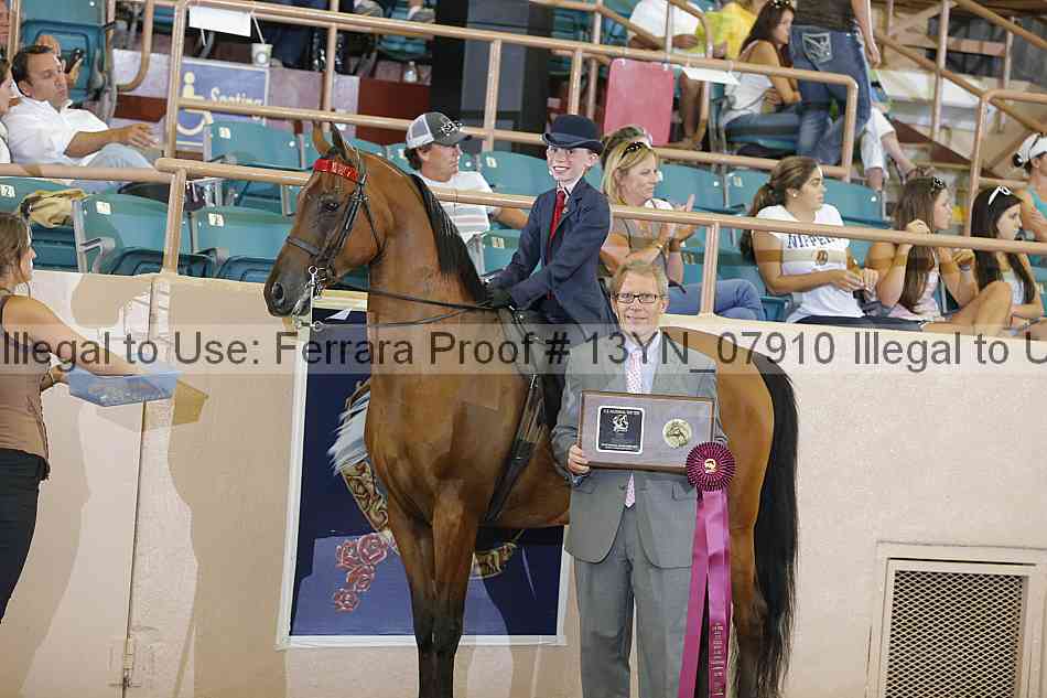 Proof 13yn_07910