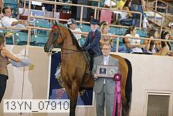 13yn_07910 proof