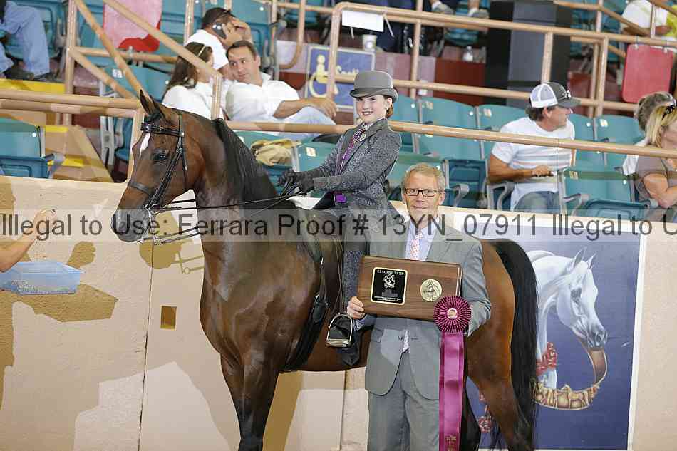 Proof 13yn_07911