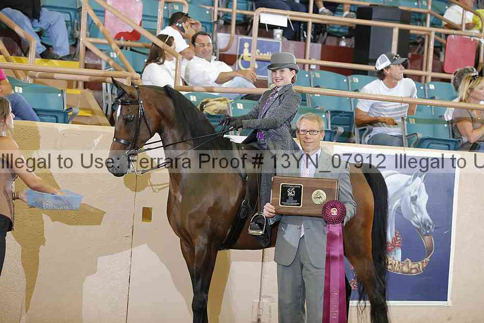 Proof 13yn_07912