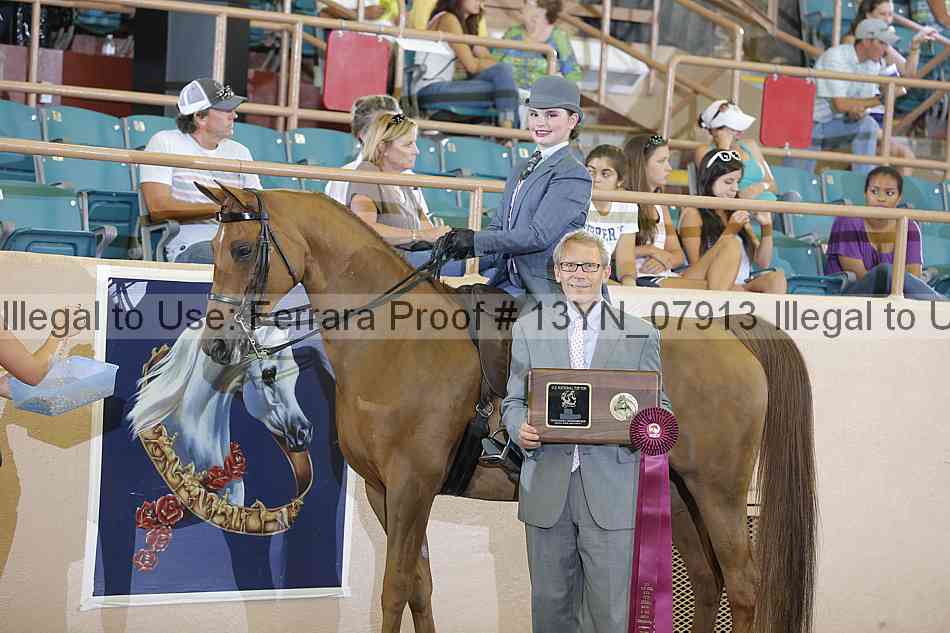 Proof 13yn_07913