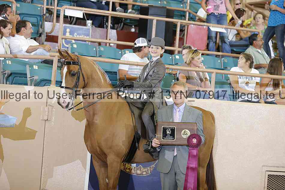Proof 13yn_07917