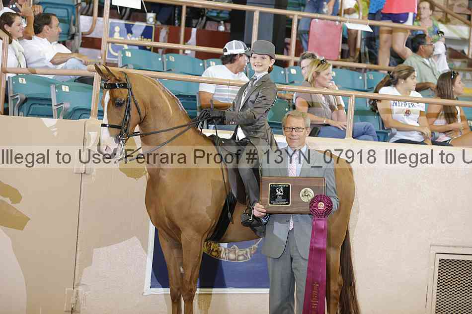 Proof 13yn_07918