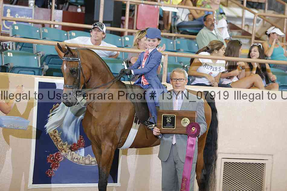 Proof 13yn_07919