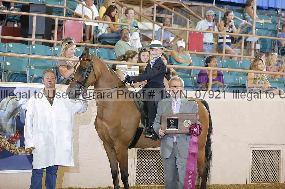 Proof 13yn_07921