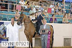 13yn_07921 proof
