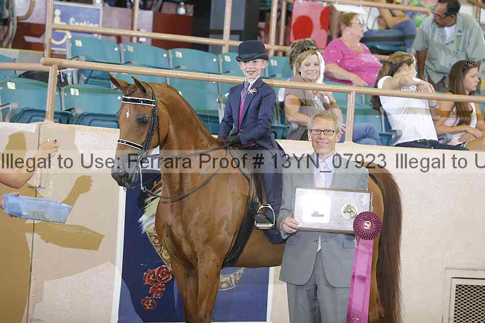Proof 13yn_07923