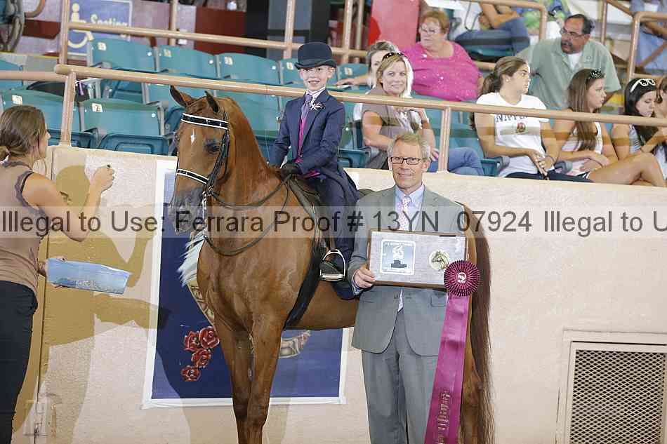 Proof 13yn_07924