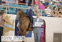 13yn_07924 proof