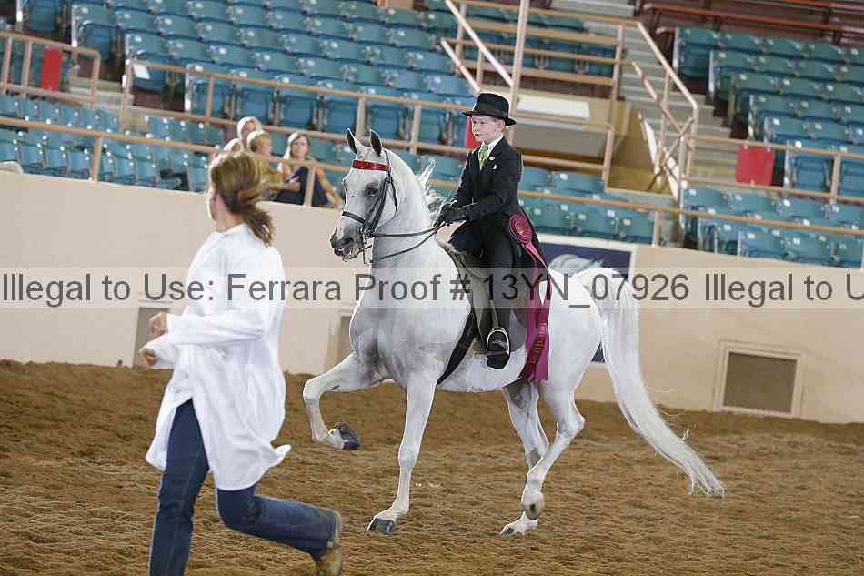 Proof 13yn_07926