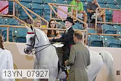 13yn_07927 proof