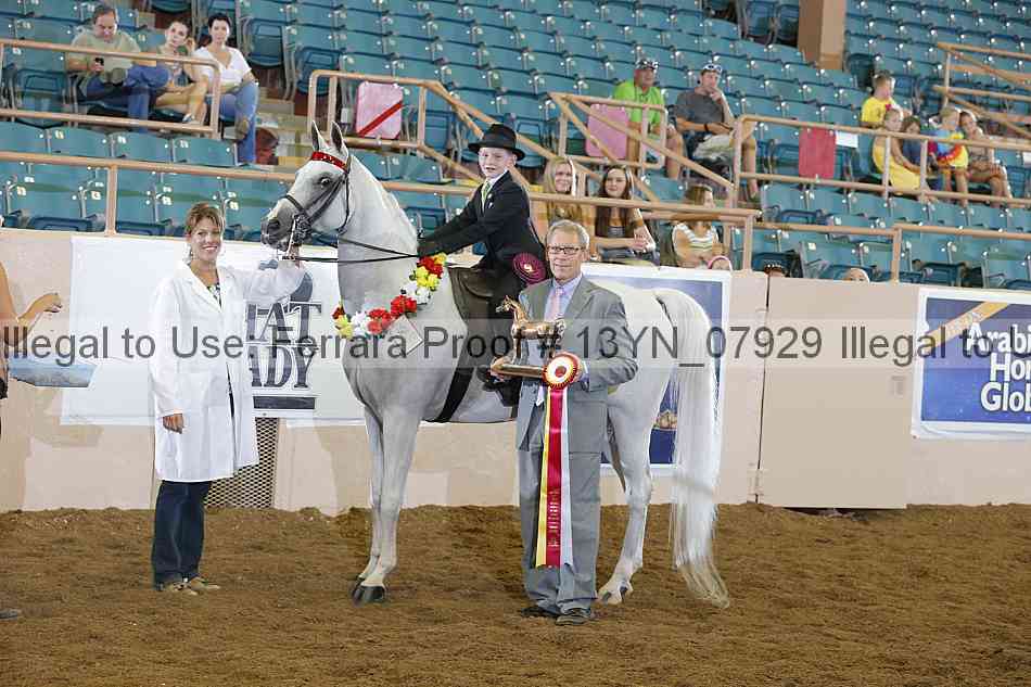 Proof 13yn_07929