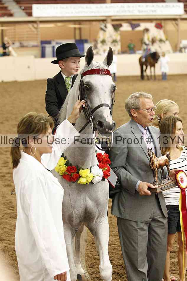 Proof 13yn_07937