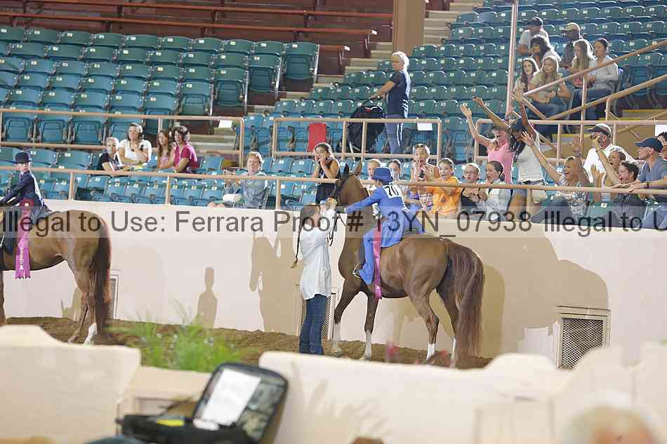 Proof 13yn_07938