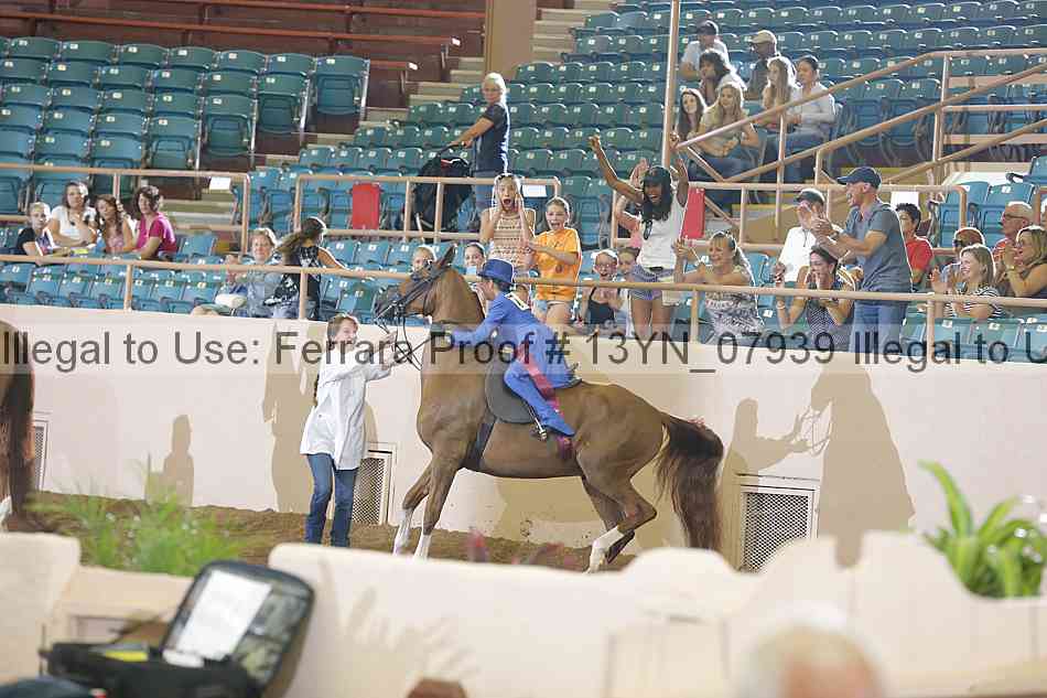 Proof 13yn_07939