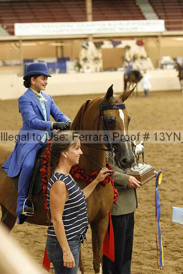 Proof 13yn_07955