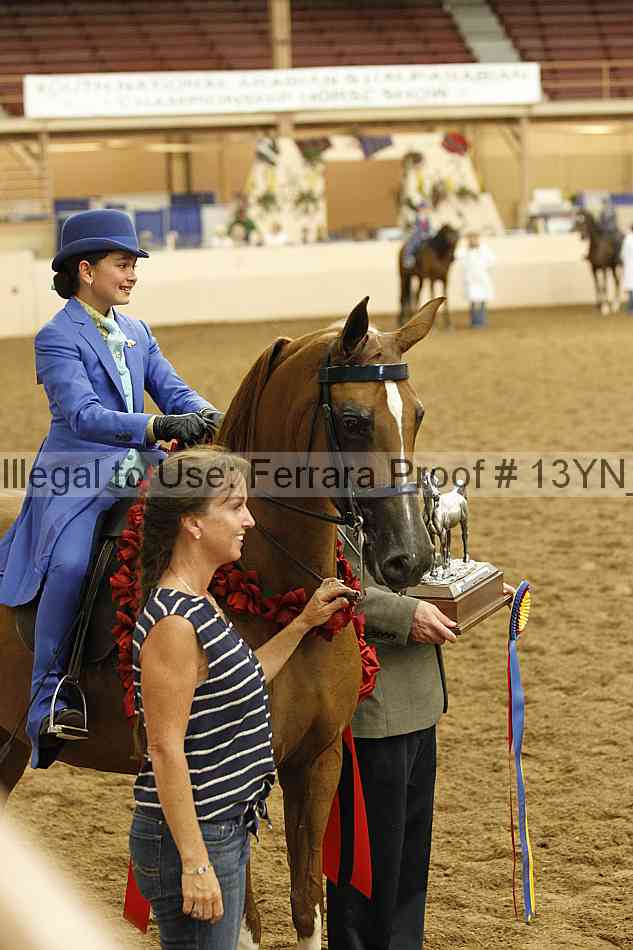 Proof 13yn_07956