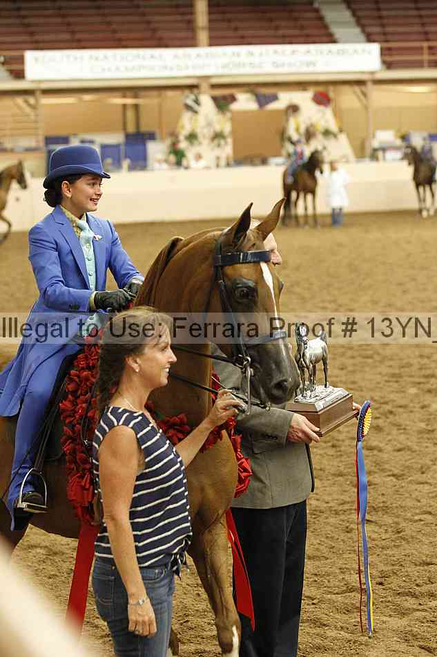 Proof 13yn_07957