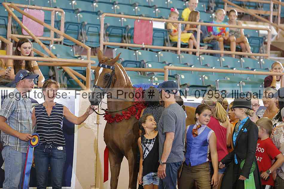 Proof 13yn_07958