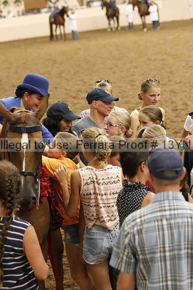 Proof 13yn_07968