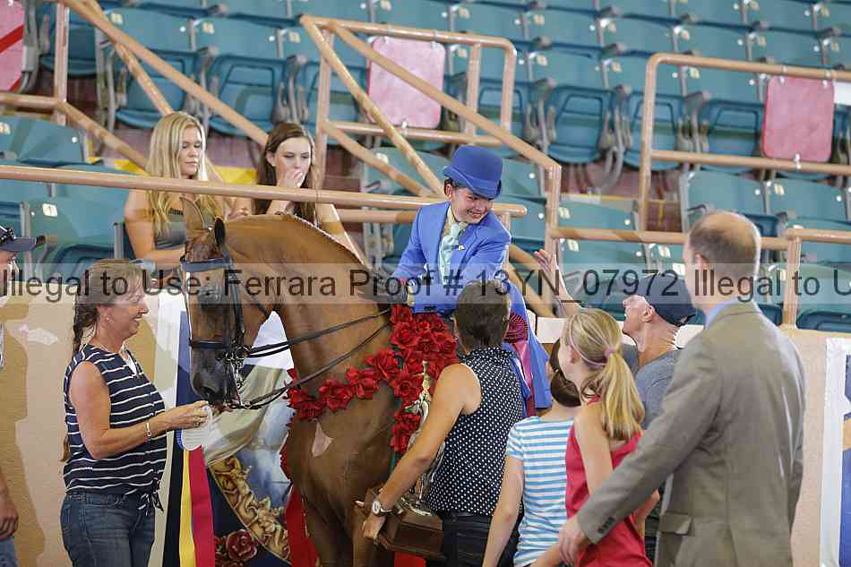 Proof 13yn_07972