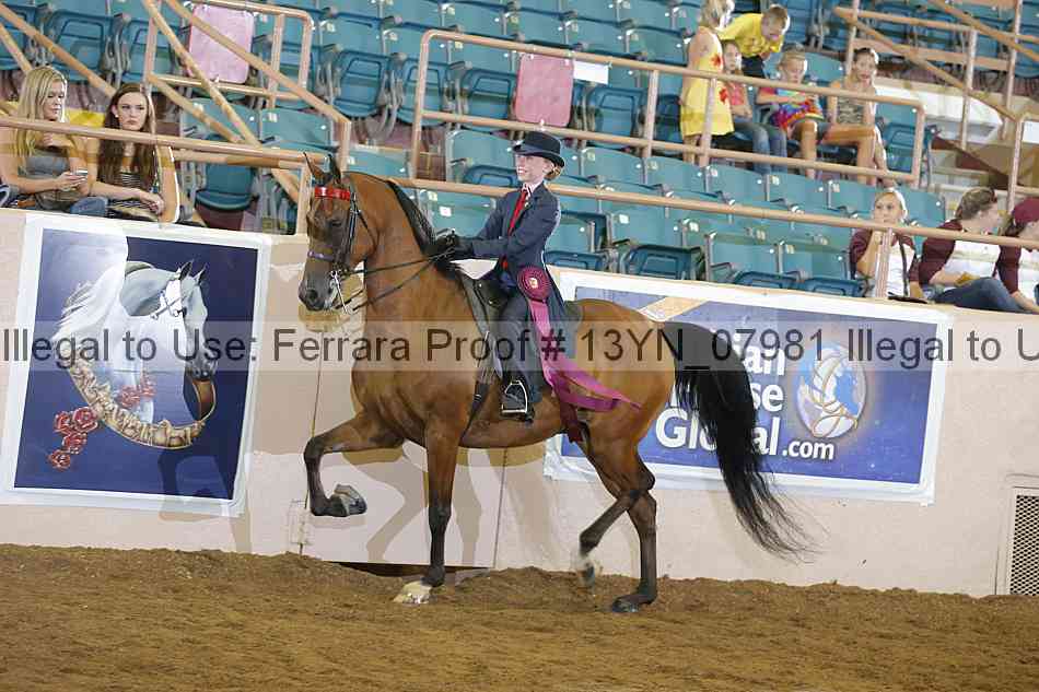 Proof 13yn_07981