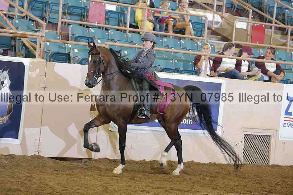 Proof 13yn_07985