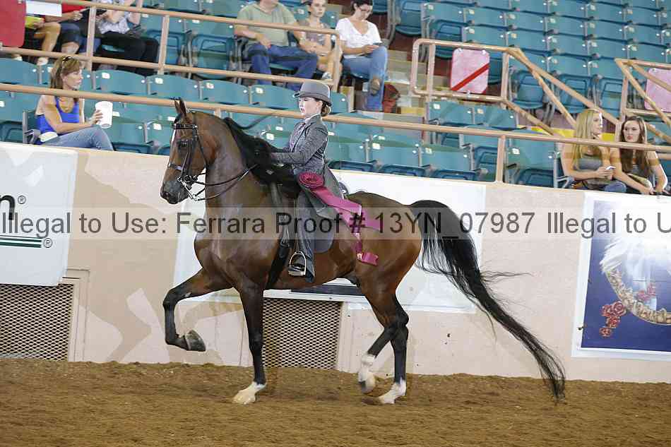 Proof 13yn_07987