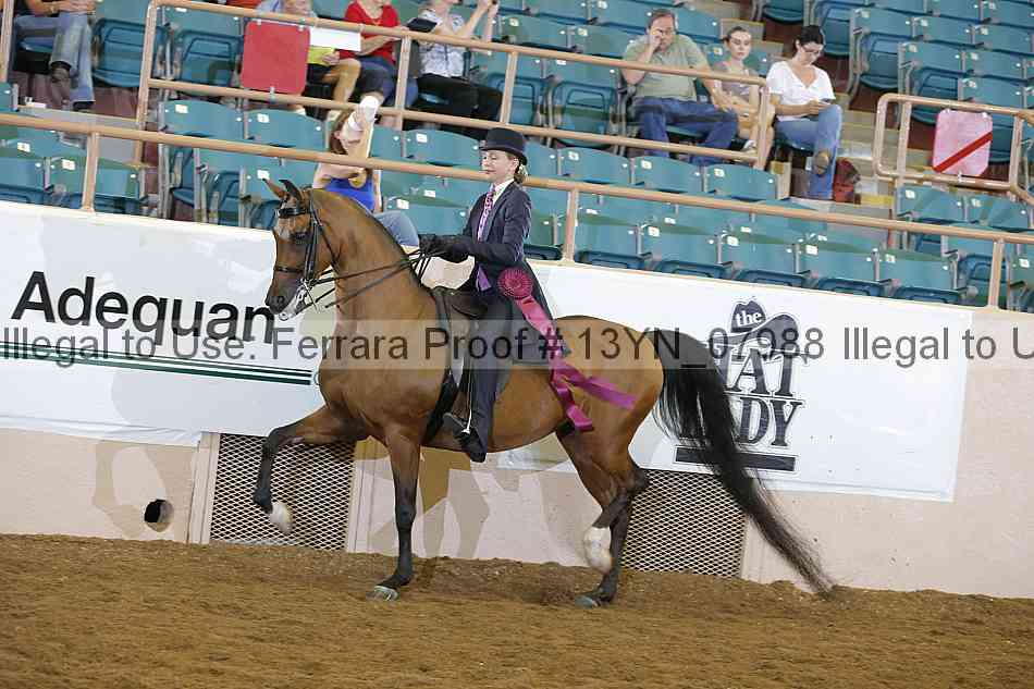 Proof 13yn_07988