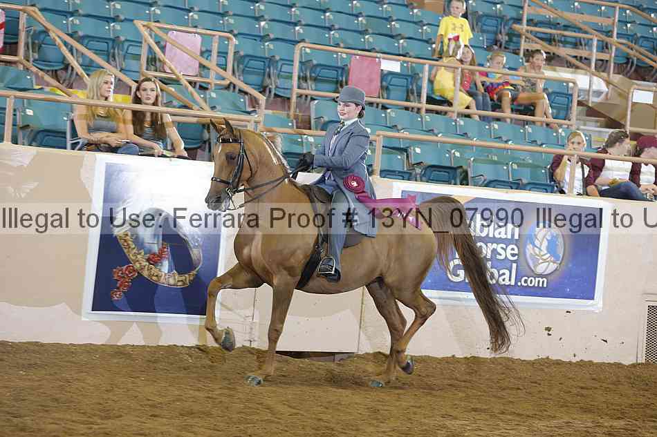 Proof 13yn_07990