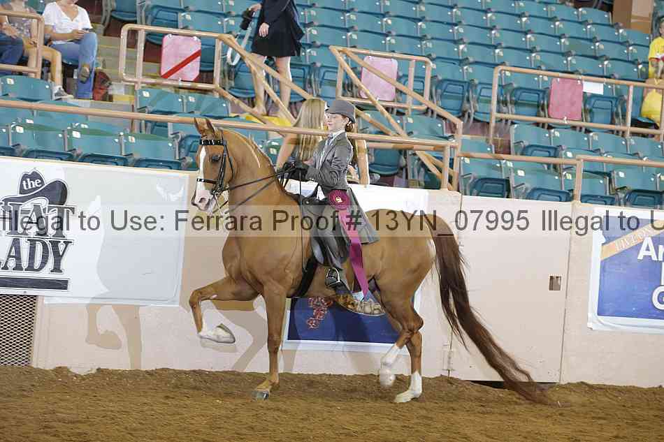 Proof 13yn_07995