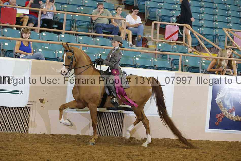 Proof 13yn_07997