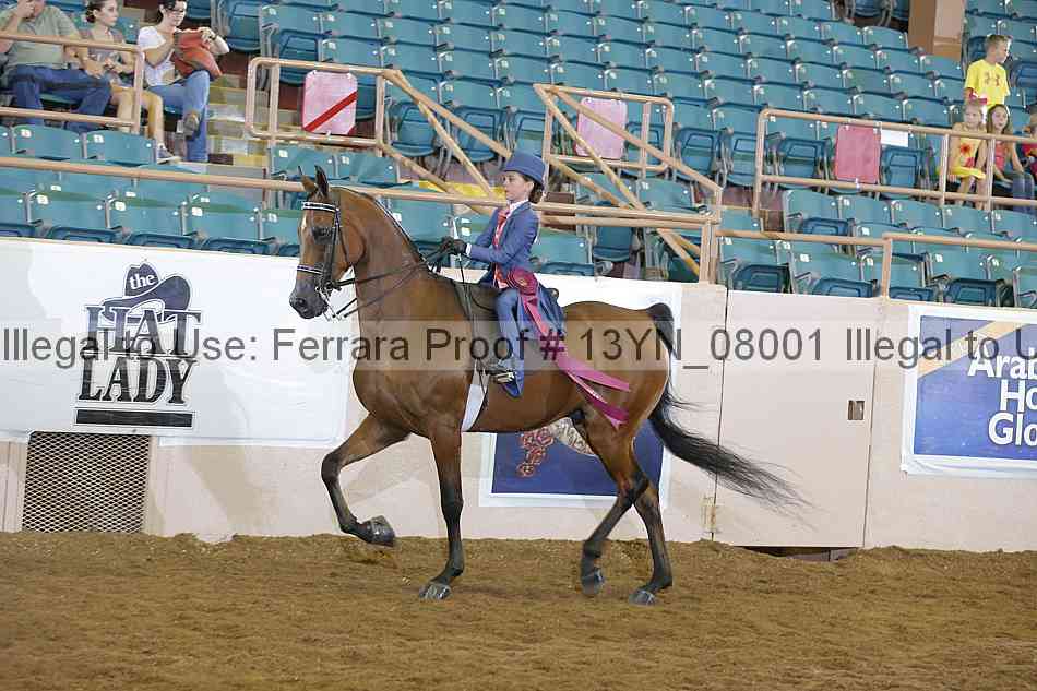 Proof 13yn_08001