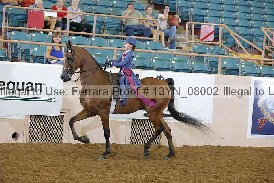 Proof 13yn_08002