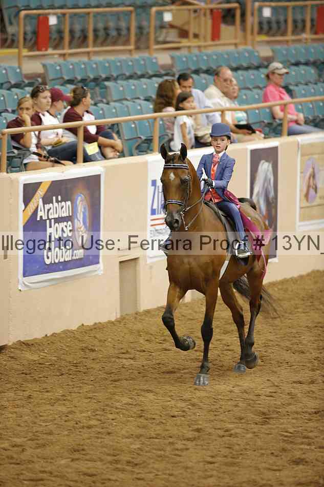 Proof 13yn_08006