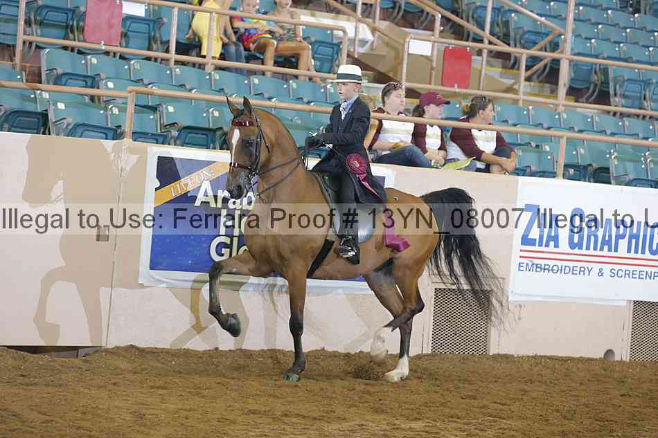 Proof 13yn_08007