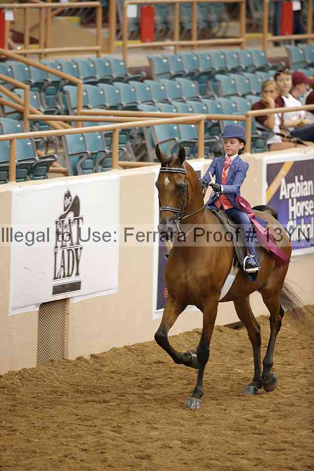 Proof 13yn_08008