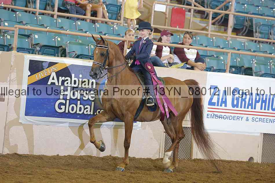 Proof 13yn_08012