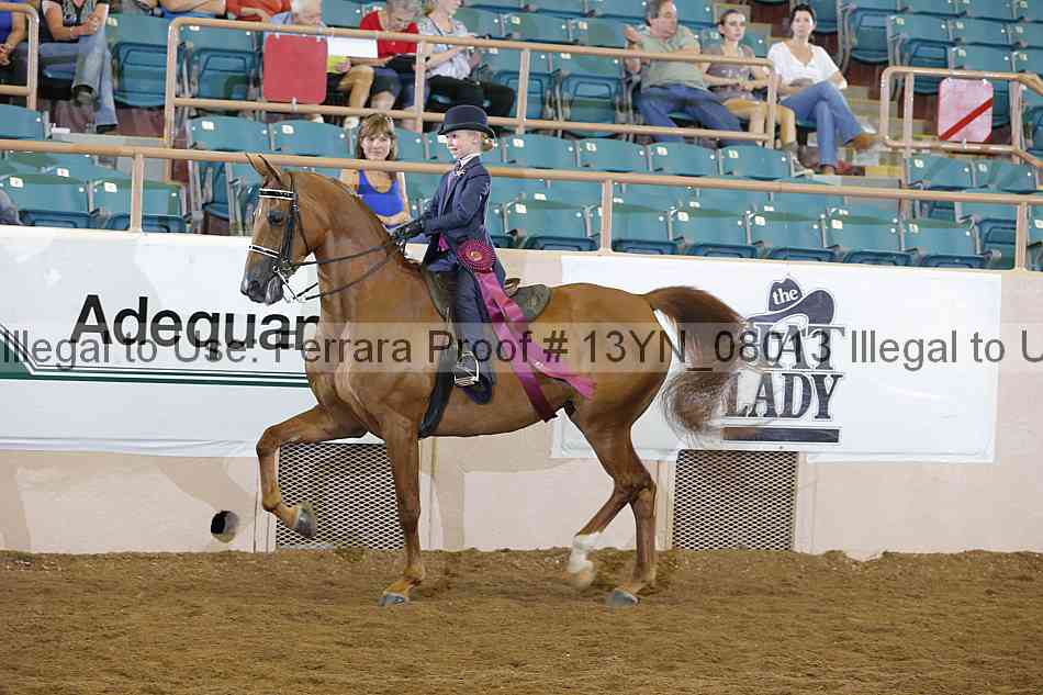 Proof 13yn_08013