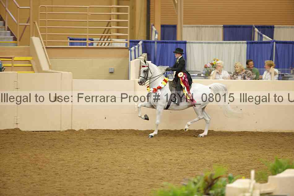 Proof 13yn_08015