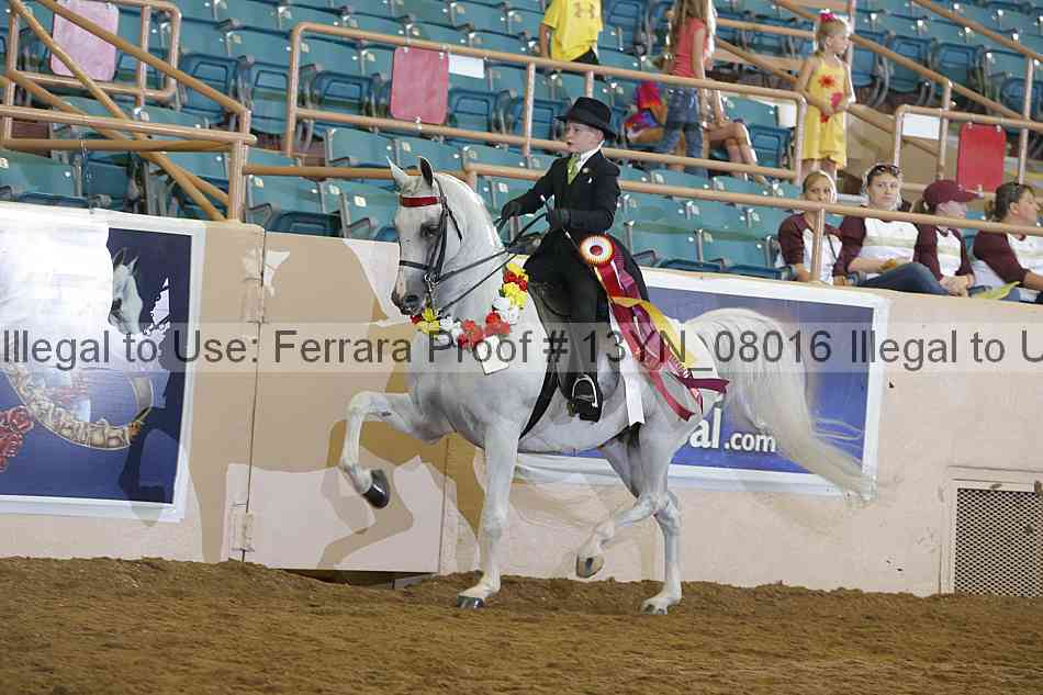Proof 13yn_08016