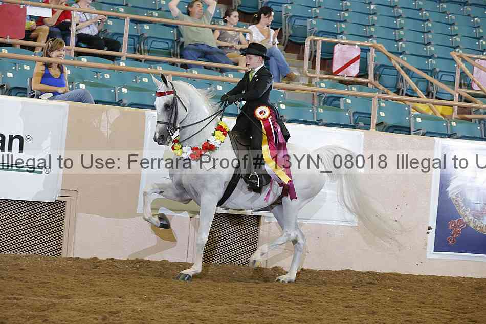 Proof 13yn_08018