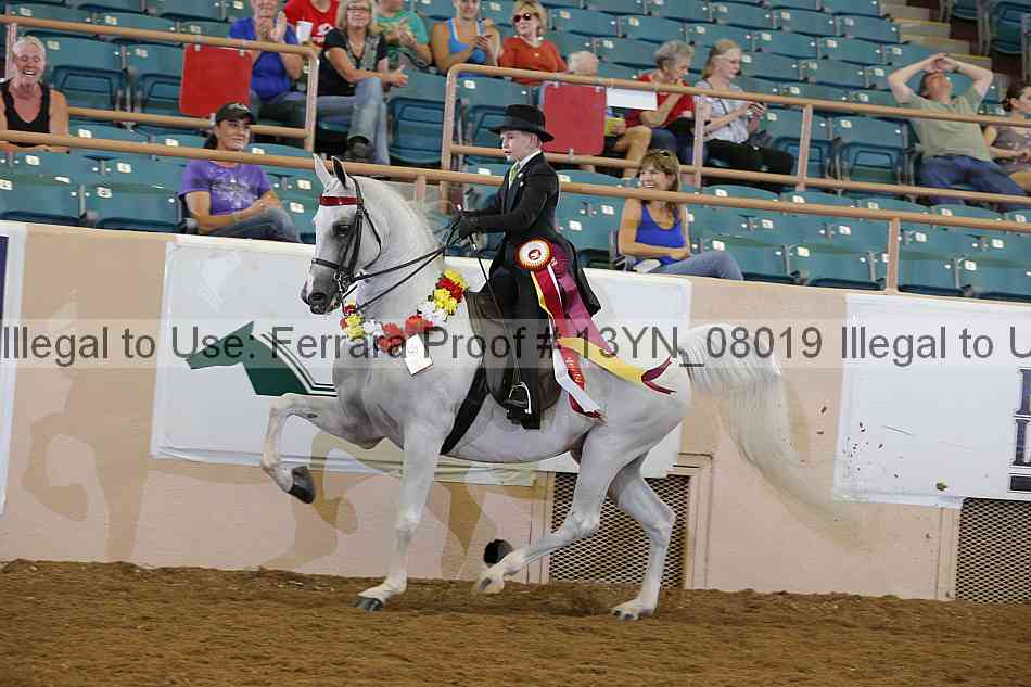 Proof 13yn_08019