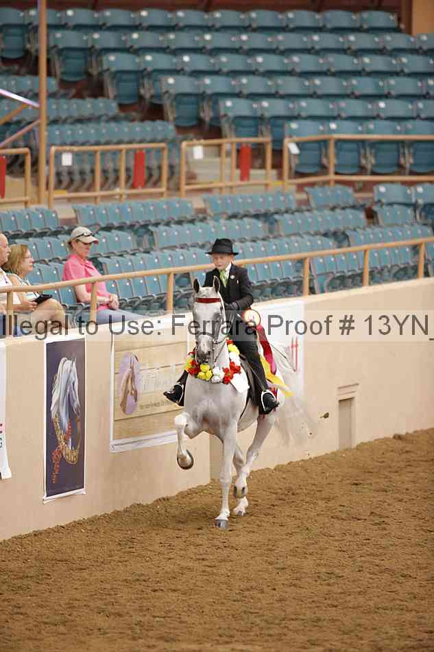 Proof 13yn_08021