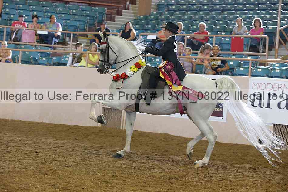 Proof 13yn_08022