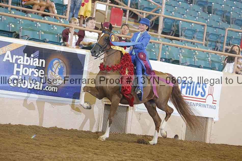 Proof 13yn_08023