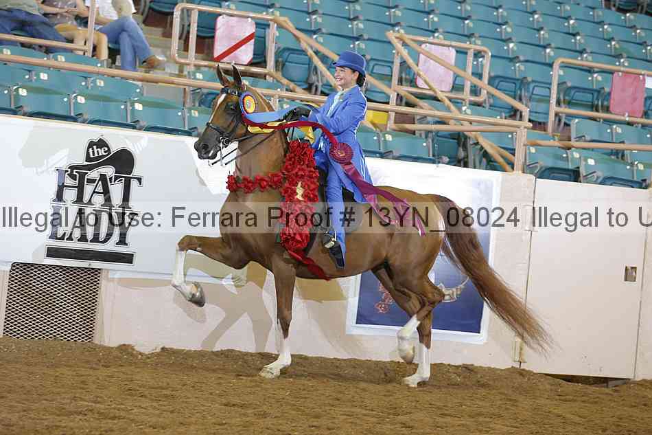Proof 13yn_08024